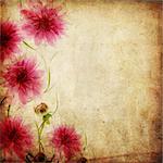 Old papers background with pink flowers