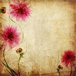 Old paper background with pink flowers