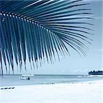 Tropical beach. One-color background image for the photo album, photo book.