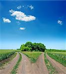 two rural road in green field