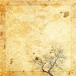 Retro paper textured background vintage tree. Page to design photo books