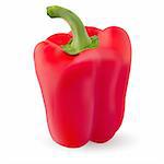 One Red pepper. Photo-realistic. Illustration on white background