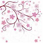 Spring branch on a white background with flowers (vector)