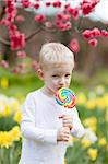 cute toddler eating colorful lollipop in a blooming park