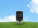 Outdoor armchair on green land, good concept for free position, career, out of box and peace of mind.