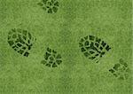 Shoe print on green grassland.