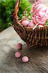 Colorful Easter holiday concept with pink eggs in wisker basket in nature