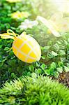 Colorful Easter holiday concept with yellow eggs  in nature
