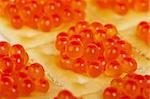 The perfect appetizer of red caviar on a cracker