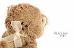 Cute teddy on white background