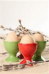 Eggs in red and green eggcups with catkins