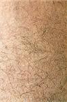 Human skin with strands of hair close up showing ridges and patterns of skin on leg