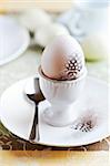 boiled egg in a eggcup with quail's feathers; easter arrangement