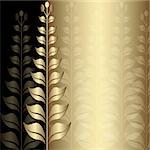 Vintage gold elegance frame with transparent floral border (vector EPS 10)