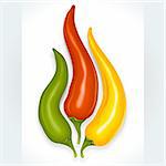 Vector Hot chili pepper in the shape of fire sign isolated on white background
