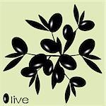 Black olive branch isolated on green background