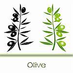 Silhouette of black  and green olives branch
