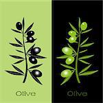 Silhouette of black and green olives branch