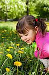 A smiling girl wearing a pink shirt, sitting on the dandelion field and observing a flower