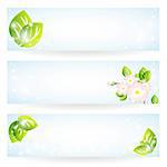 Collection of spring banners. Vector illustration
