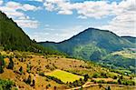 Sunny Meadow in the French Alps