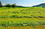 The Bavarian Village Surrounded By Mown Fields