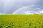 two natural rainbow over green field