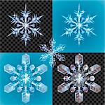 Series of transparent snowflake design elements shown on different backgrounds