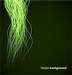 Green abstract wave background. Vector illustration eps10