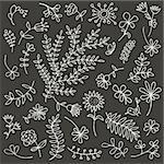 Floral ornament sketch, seamless background for your design