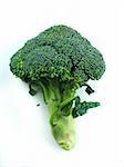 branches of cabbage of a broccoli on a white background