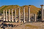 archaeological excavations in Israel,Roman columns in park  Beit Shean