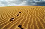 Footprints on a desert dune