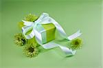 Gift box with flowers on green background