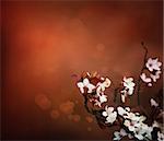 Cherry flowers background. Abstract spring bokeh background