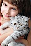 child hugging silver white purebred Scottish young cat kitten