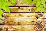 Message of nature. Old wooden planks, green leaves and butterfly