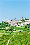 Neive wth vineyards, Piedmont, Italy