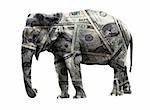 Ritch adult elephant coated in dollar banknotes. Isolated on white