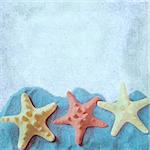 The square background with starfish on a blue sand. Page to design photo books