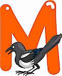 cartoon illustration of M letter for magpie