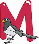 cartoon illustration of M letter for magpie