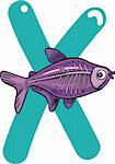 cartoon illustration of X letter for x-ray fish