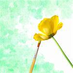 brush paint yellow tulip