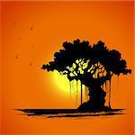 illustration of tree silhouette in sun set view