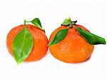 Fresh tangerine with leaves isolated on a white background