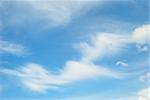 Blue sky with clouds in the shape of a flying bird