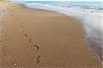 A single pair of footsteps along on empty beach in the rearly morning on the Outer Banks of North Carolina