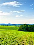 Fresh green fields and beautiful blue skies are typical for spring in the Slovak countryside