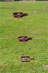 three barbed wire tensioners in front of a grass background